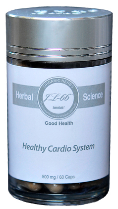 Healthy Cardio System